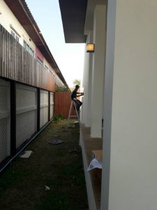 15168459869151870042374-225x300 15168459869151870042374.jpg