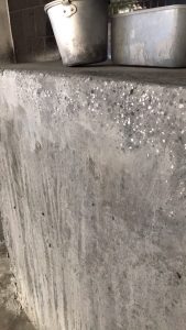 img_6163-169x300 img_6163.jpg