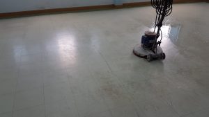 20190426_1452135105220732196875203-scaled-300x169 20190426_1452135105220732196875203.jpg