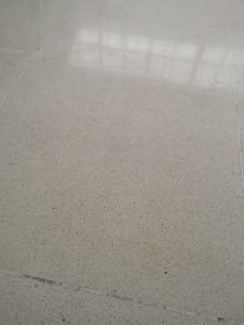 img_0398-225x300 img_0398.jpg