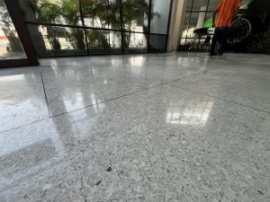 IMG_6243-scaled-300x225 IMG_6243