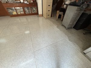 S__540739_0-300x225 S__540739_0