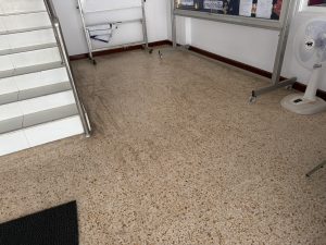 S__540819_0-300x225 S__540819_0