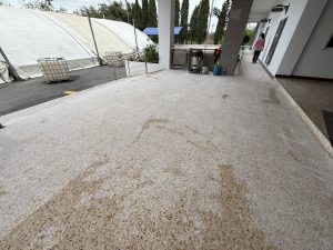 S__540830_0-300x225 S__540830_0