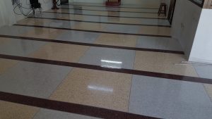 20190410_1414106208472521653854328-scaled-300x169 20190410_1414106208472521653854328.jpg