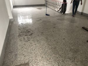 img_0012-1-300x225 img_0012.jpg