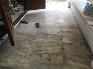 img_1056-scaled-300x225 img_1056.jpg