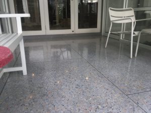 img_1681-scaled-300x225 img_1681.jpg