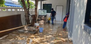 img_8564-300x146 img_8564.jpg