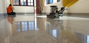 IMG_3341-1-300x146 IMG_3341 (1)